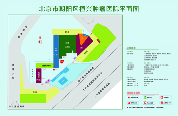 想野男人操我骚逼逼北京市朝阳区桓兴肿瘤医院平面图